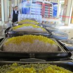سمینار شرکت طبیعت زنده در هتل نارنجستان
