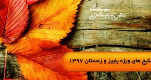 پکیج ویژه اقامتی فصل پاییز 1397 هتل نارنجستان